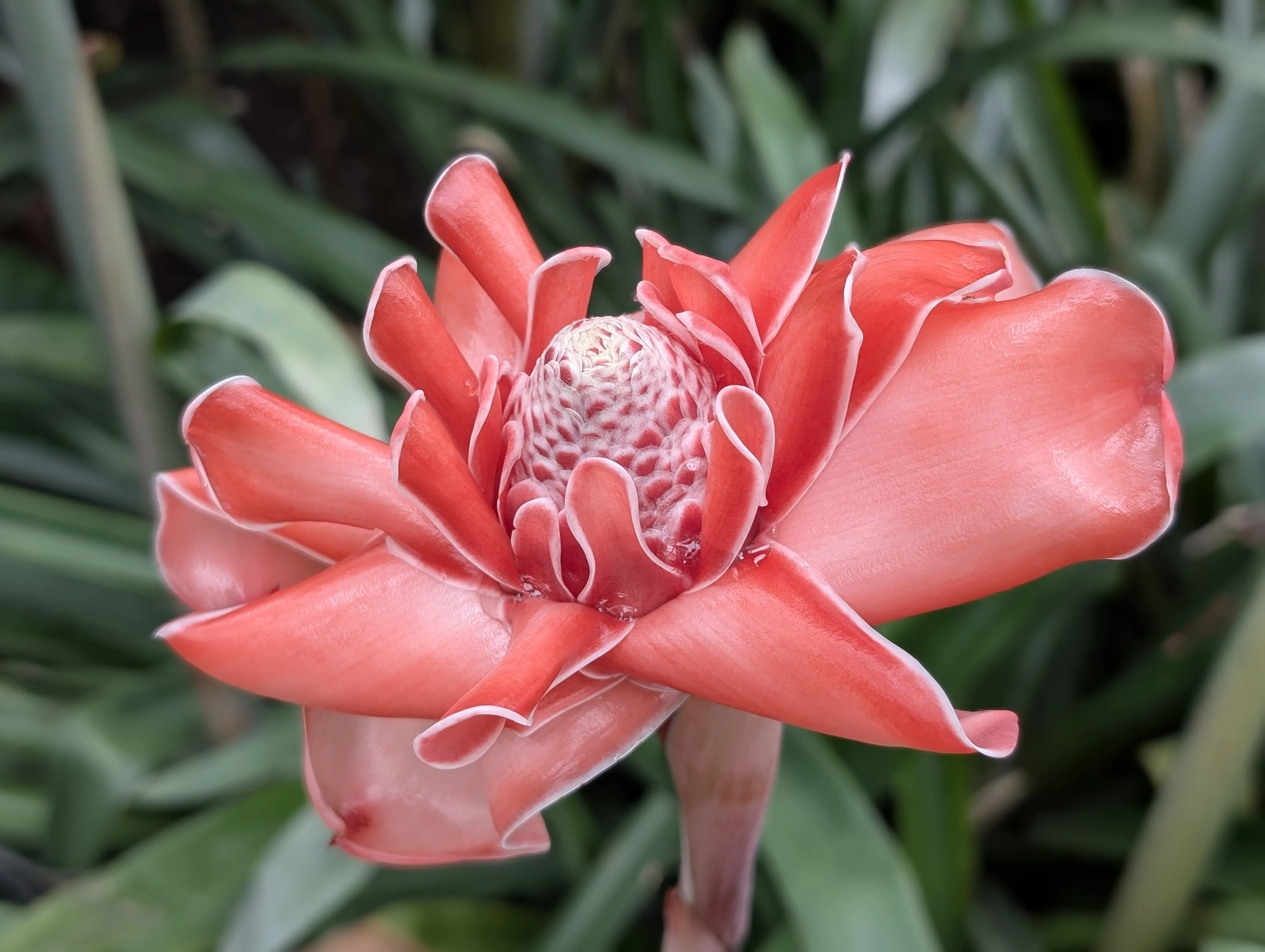 Botanischer Garten 🌺 und Spielplatz am Pleißenbach 🛝